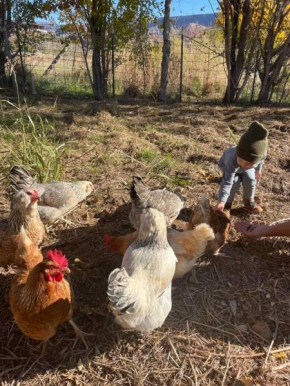 Copper Creek Farm